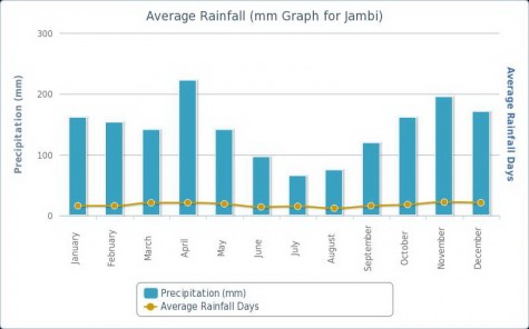 Average Rainfall in Jambi