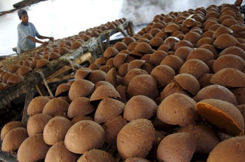 Brown Sugar Factory, Pangandaran